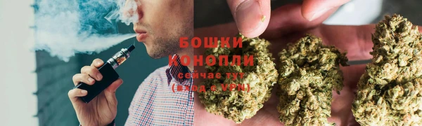 сатива Абинск
